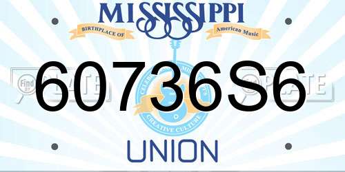 60736S6 Mississippi License Plate