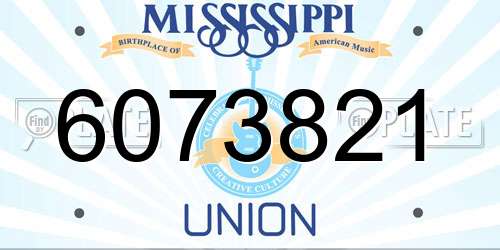 6073821 Mississippi License Plate