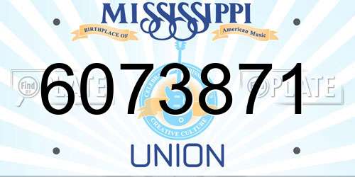 6073871 Mississippi License Plate