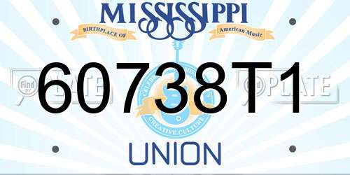 60738T1 Mississippi License Plate