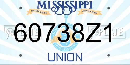 60738Z1 Mississippi License Plate