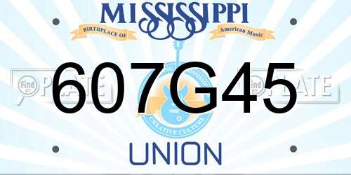 607G45 Mississippi License Plate
