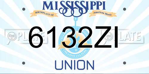 6132ZI Mississippi License Plate