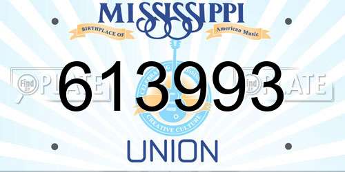 613993 Mississippi License Plate