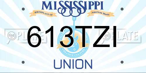 613TZI Mississippi License Plate