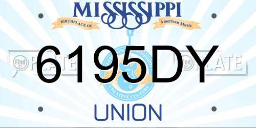 6195DY Mississippi License Plate