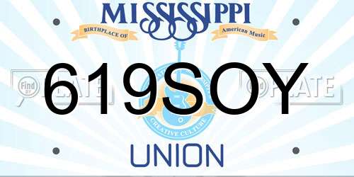 619SOY Mississippi License Plate