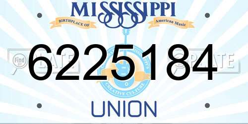 6225184 Mississippi License Plate