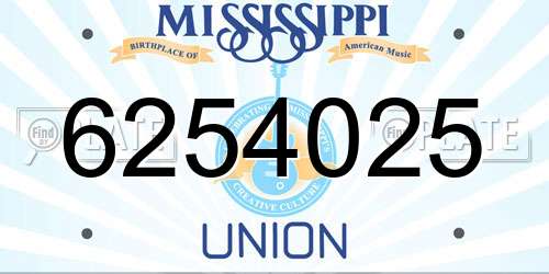 6254025 Mississippi License Plate