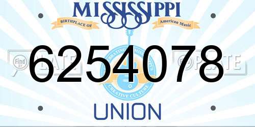 6254078 Mississippi License Plate