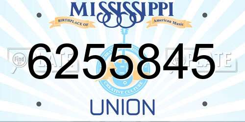 6255845 Mississippi License Plate