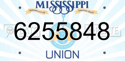 6255848 Mississippi License Plate