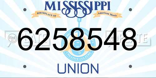 6258548 Mississippi License Plate