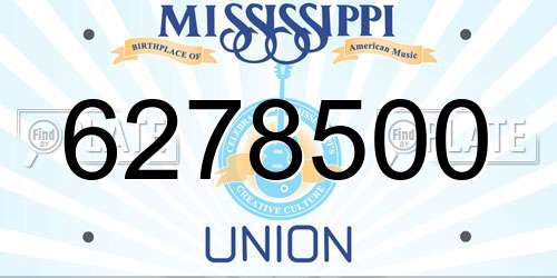 6278500 Mississippi License Plate