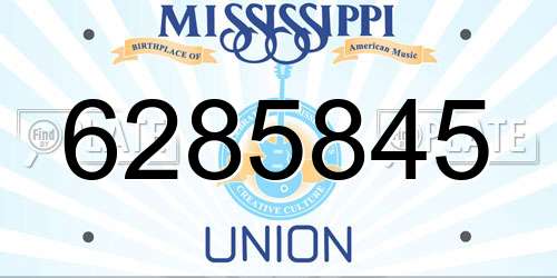 6285845 Mississippi License Plate