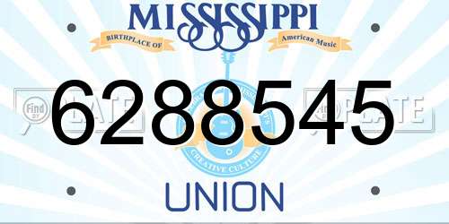 6288545 Mississippi License Plate