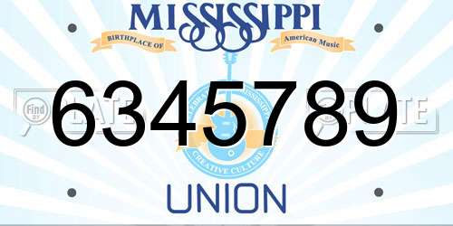 6345789 Mississippi License Plate