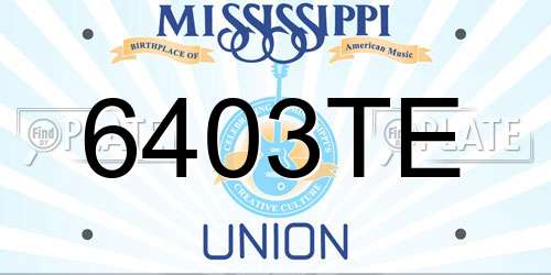 6403TE Mississippi License Plate