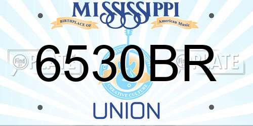 6530BR Mississippi License Plate