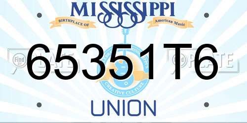 65351T6 Mississippi License Plate
