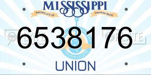 6538176 Mississippi License Plate
