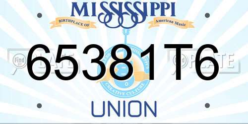 65381T6 Mississippi License Plate