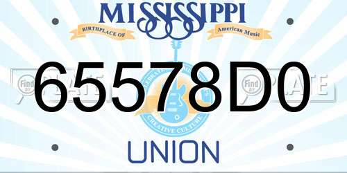 65578D0 Mississippi License Plate