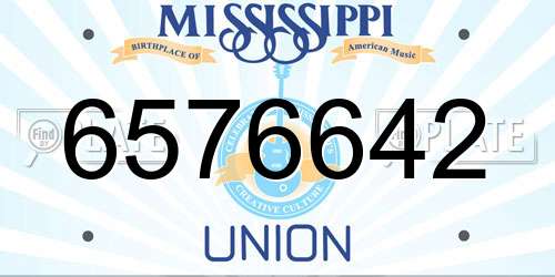 6576642 Mississippi License Plate