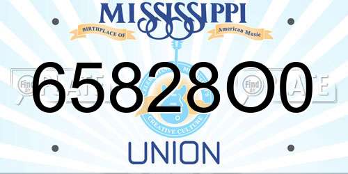 65828O0 Mississippi License Plate