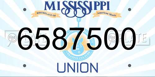 6587500 Mississippi License Plate