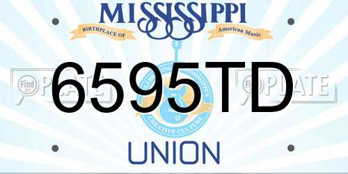 6595TD Mississippi License Plate