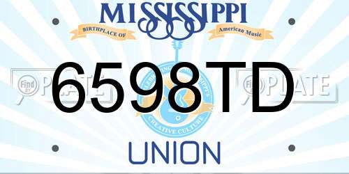 6598TD Mississippi License Plate