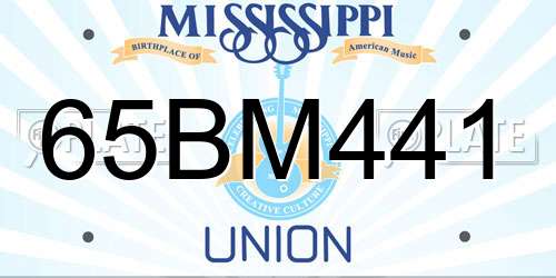 65BM441 Mississippi License Plate