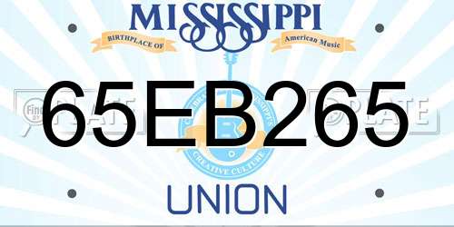 65EB265 Mississippi License Plate