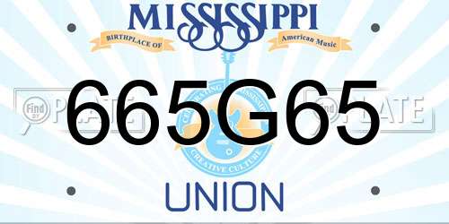 665G65 Mississippi License Plate