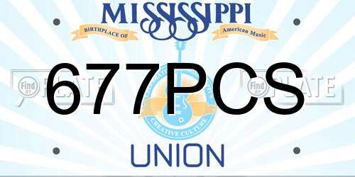 677PCS Mississippi License Plate