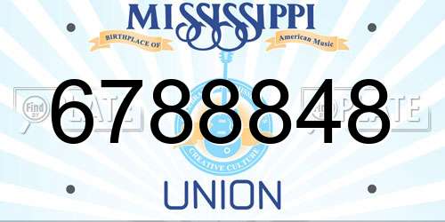 6788848 Mississippi License Plate
