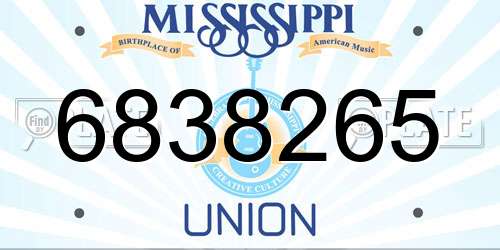 6838265 Mississippi License Plate