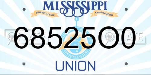 68525O0 Mississippi License Plate