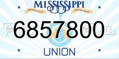 6857800 Mississippi License Plate