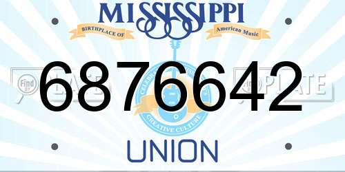 6876642 Mississippi License Plate