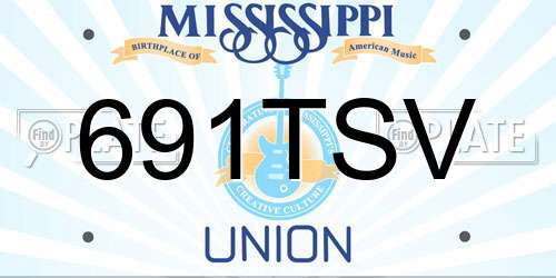 691TSV Mississippi License Plate