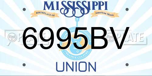 6995BV Mississippi License Plate