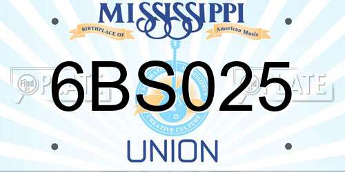 6BS025 Mississippi License Plate