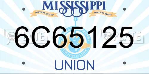 6C65125 Mississippi License Plate
