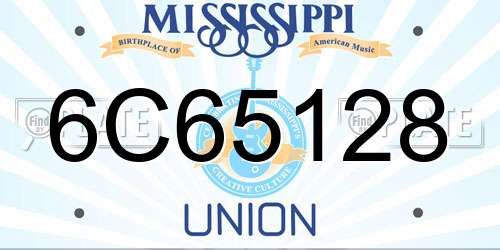 6C65128 Mississippi License Plate