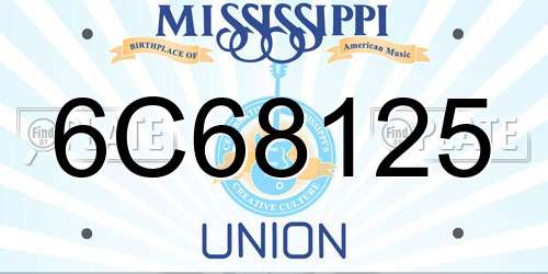 6C68125 Mississippi License Plate