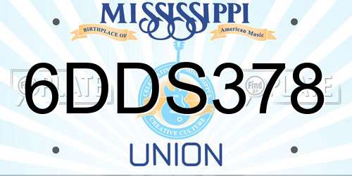 6DDS378 Mississippi License Plate