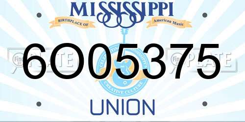 6O05375 Mississippi License Plate
