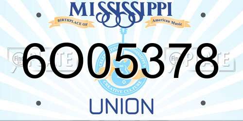 6O05378 Mississippi License Plate